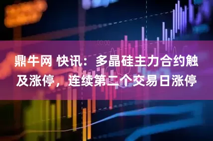 鼎牛网 快讯：多晶硅主力合约触及涨停，连续第二个交易日涨停