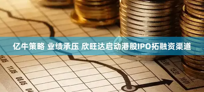 亿牛策略 业绩承压 欣旺达启动港股IPO拓融资渠道