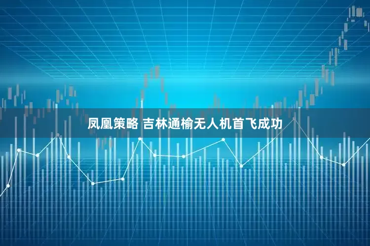 凤凰策略 吉林通榆无人机首飞成功