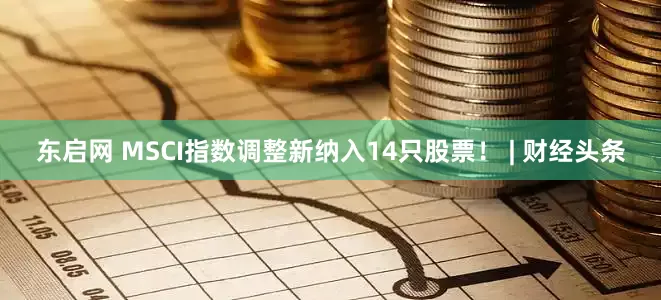 东启网 MSCI指数调整新纳入14只股票！ | 财经头条